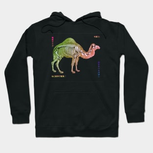 Bazaar Zoo - Electric Camel Hoodie